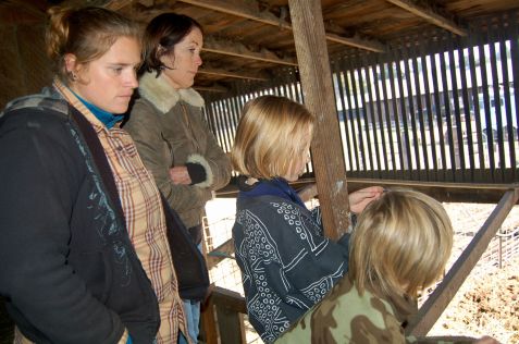 some of the observers...