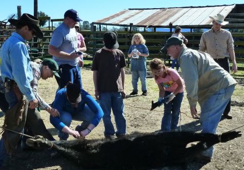 kids, adults, all have "jobs"