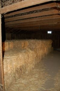 Stored hay, for the off season