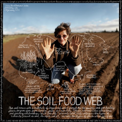 Dr.InghamSoilWeb